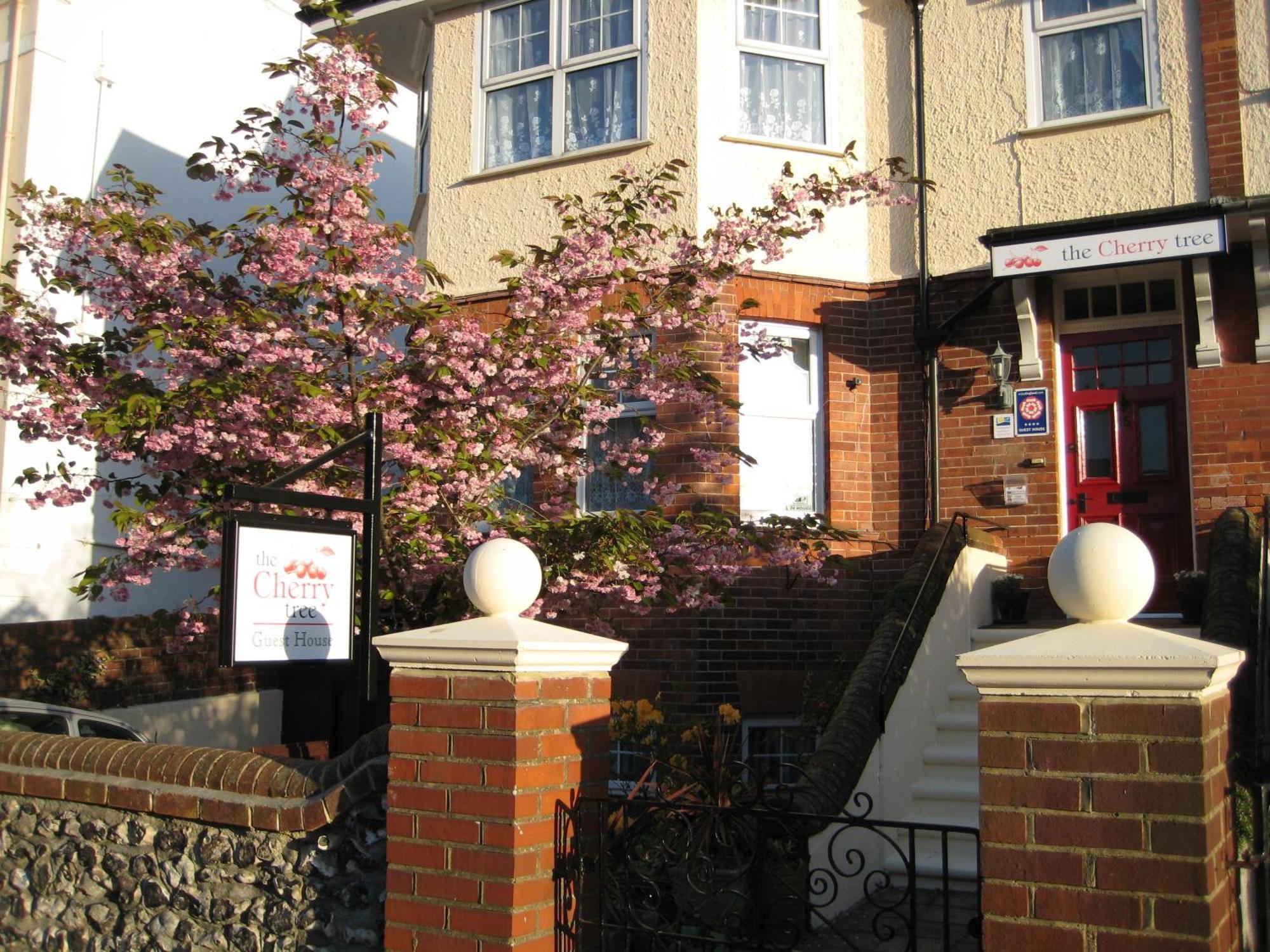 The Cherry Tree Guest House Tournoi d'Tournoi d'Eastbourne Extérieur photo