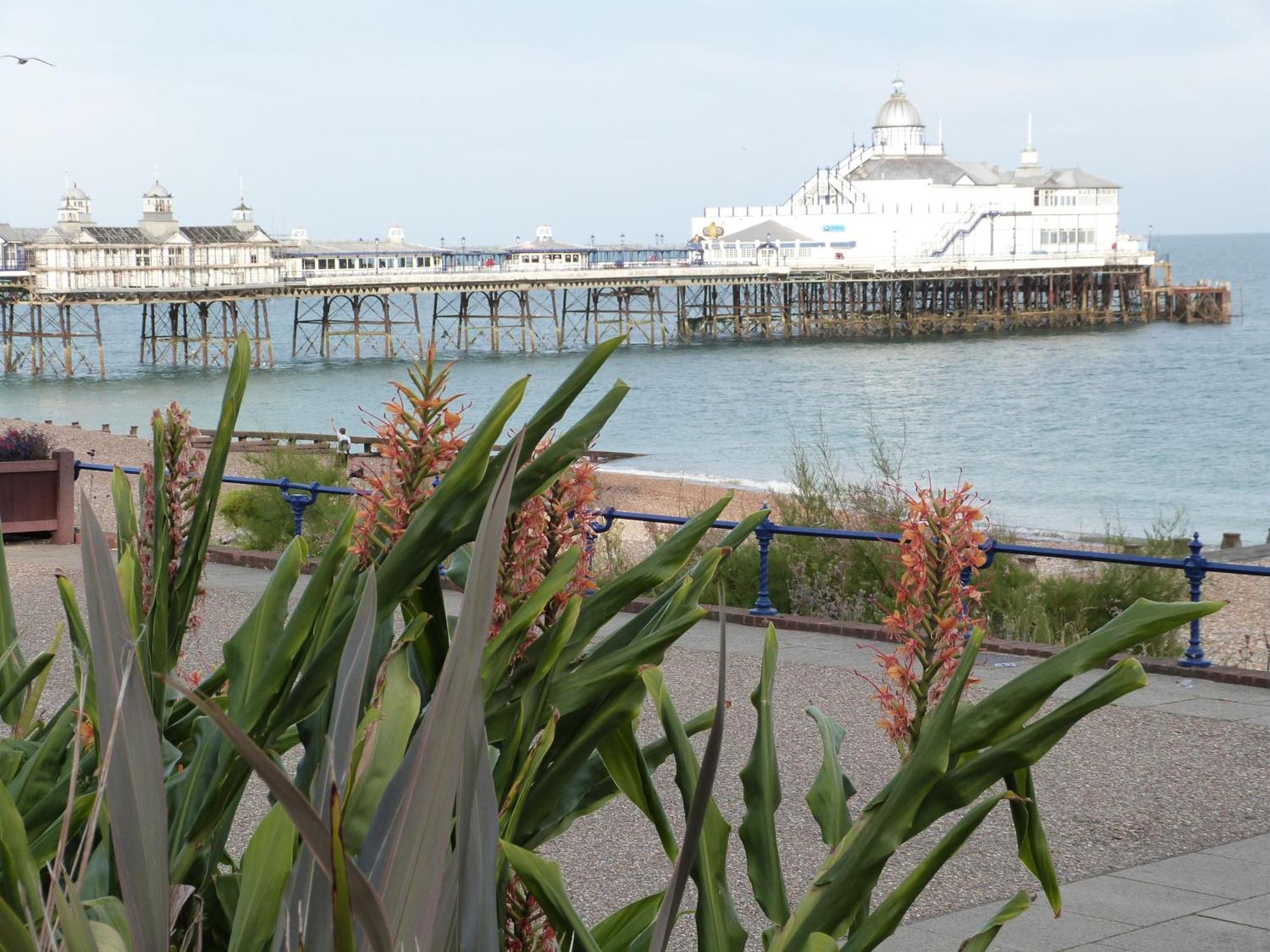 The Cherry Tree Guest House Tournoi d'Tournoi d'Eastbourne Extérieur photo